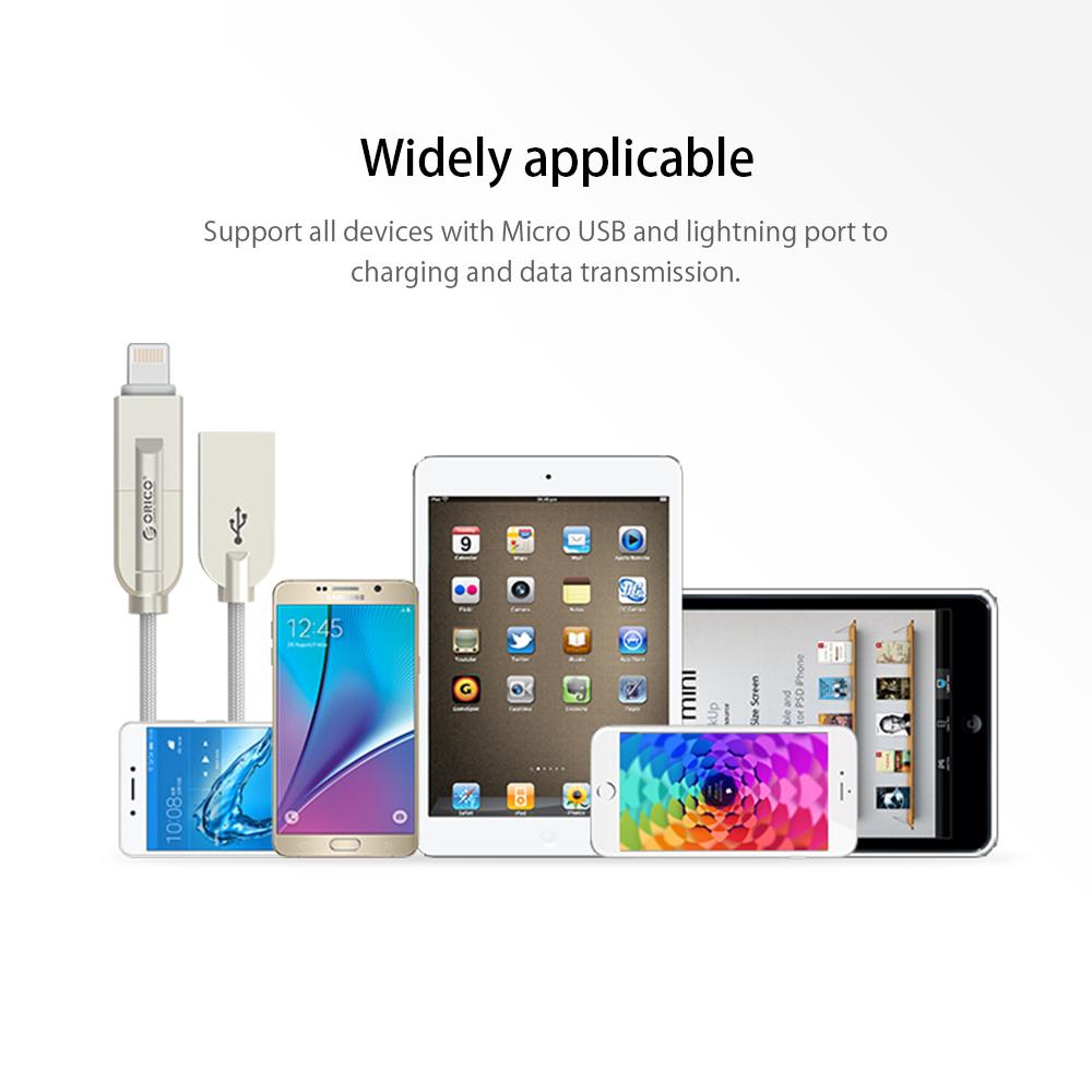 2-in-1 Lightning and Micro USB Charging Cable