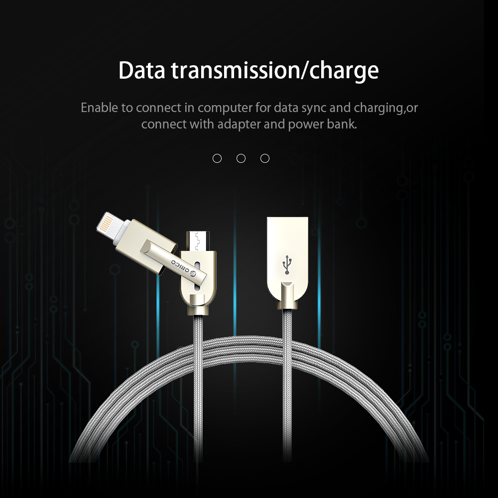 2-in-1 Lightning and Micro USB Charging Cable