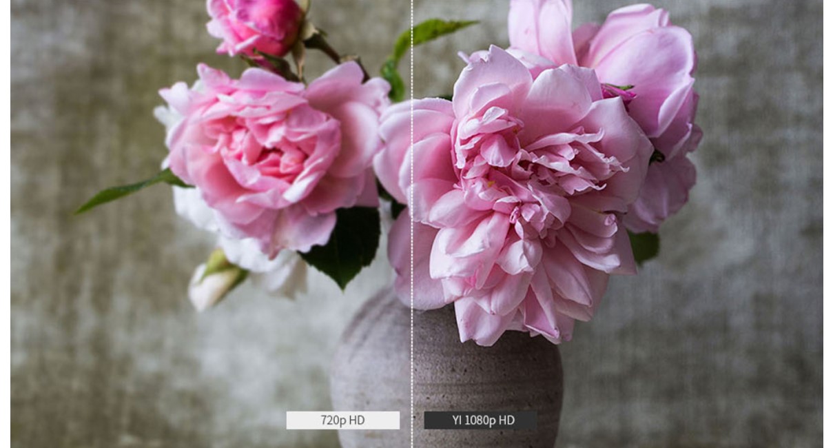 Pan/Tilt/Zoom Wireless Camera