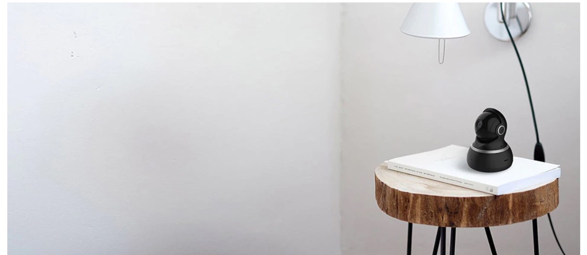 Pan/Tilt/Zoom Wireless Camera