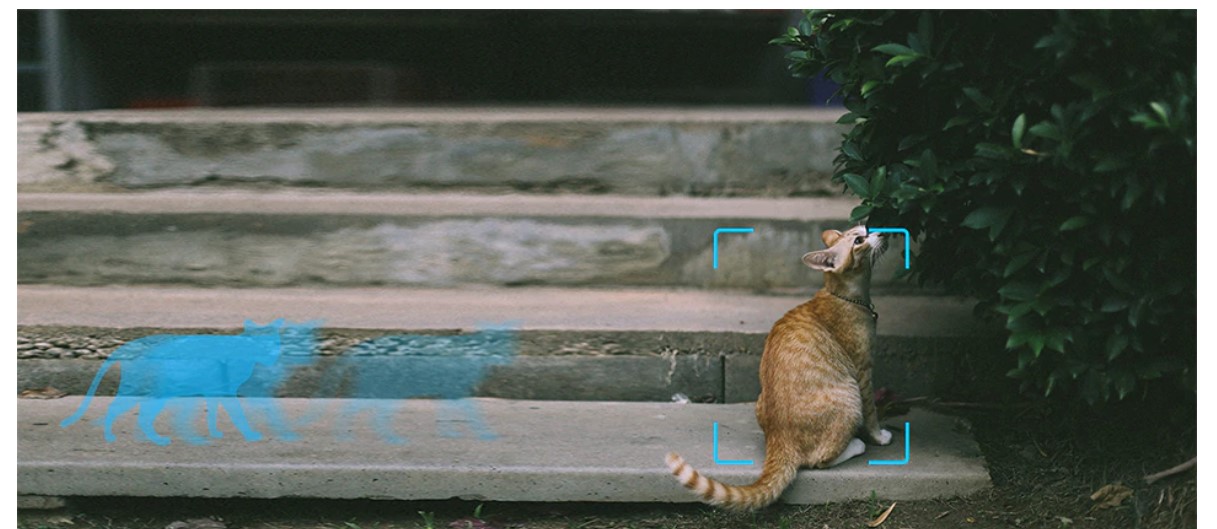 Pan/Tilt/Zoom Wireless Camera