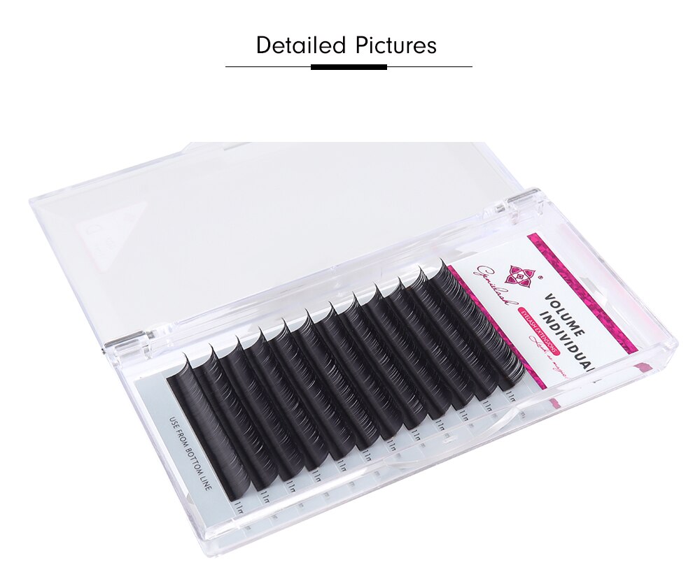 BCDD+ Curl Mink Individual Eyelashes